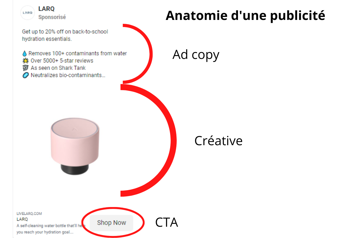 anatomie_pub_ad_copy