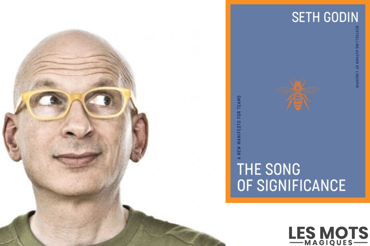 Résumé du livre de SEth Godin : The Song of Significance