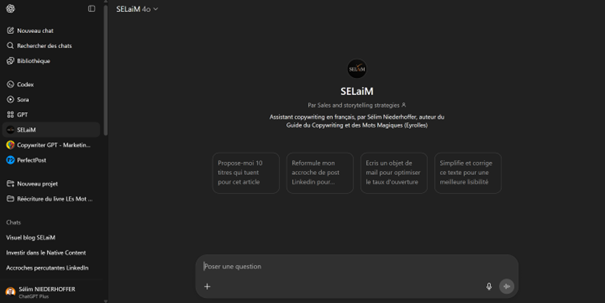gpt-copywriting-français-selim-selaim